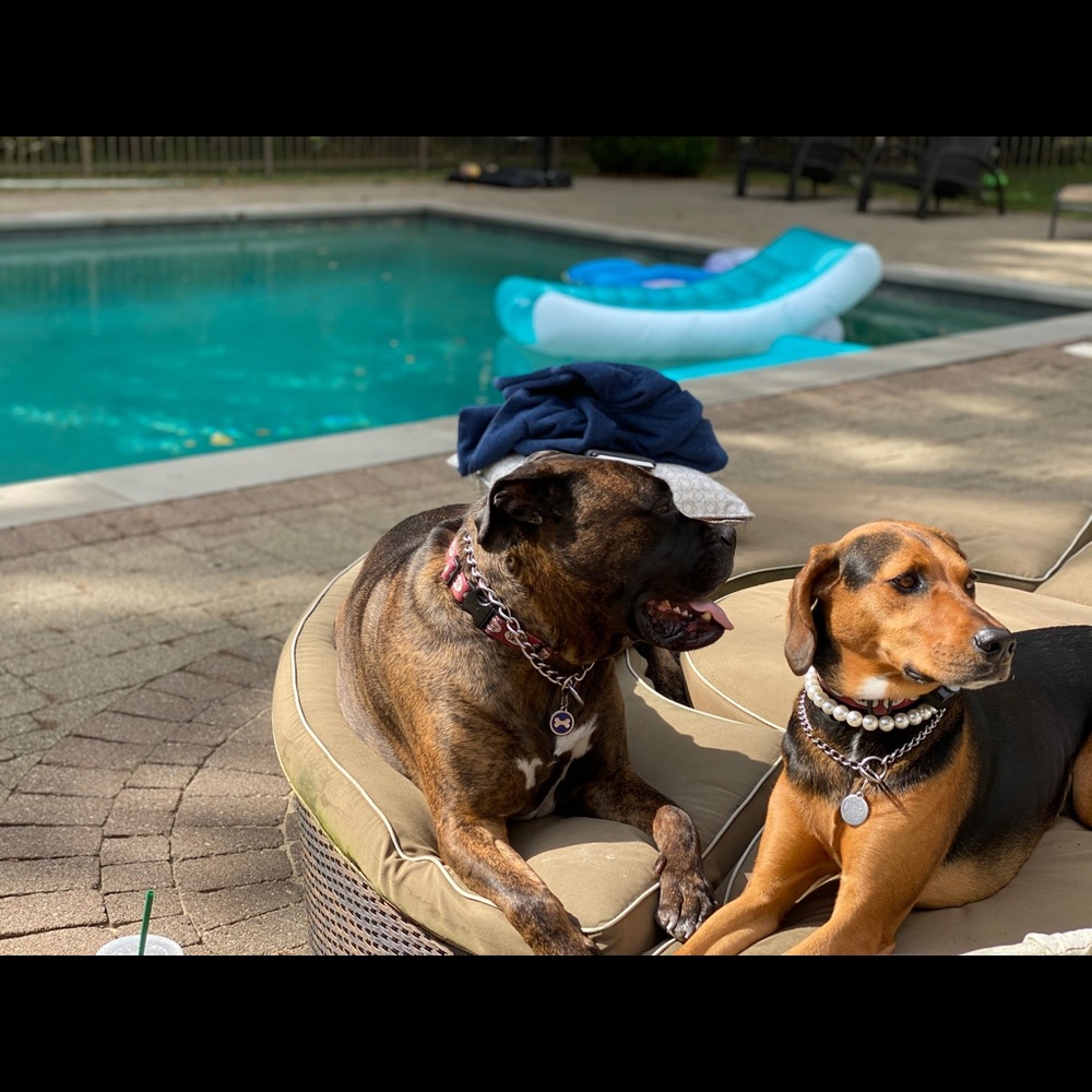 Meet your Posher, Anne